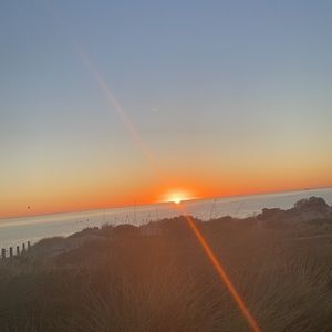 Meet your Posher, Bebe